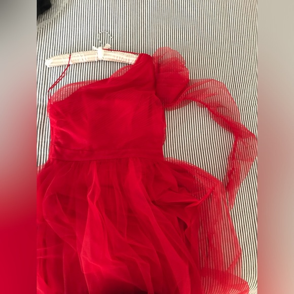 Rubber Ducky brand new ‘Ritz’ gown in red tulle, size Large - Picture 6 of 8